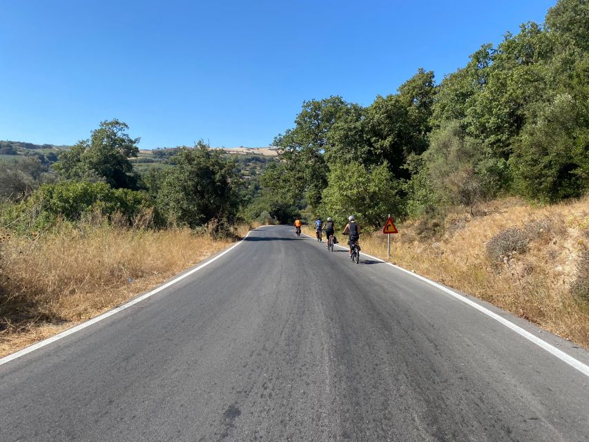 Heraklion: Wine Tasting E-Bike Tour - What the $101 price gets you