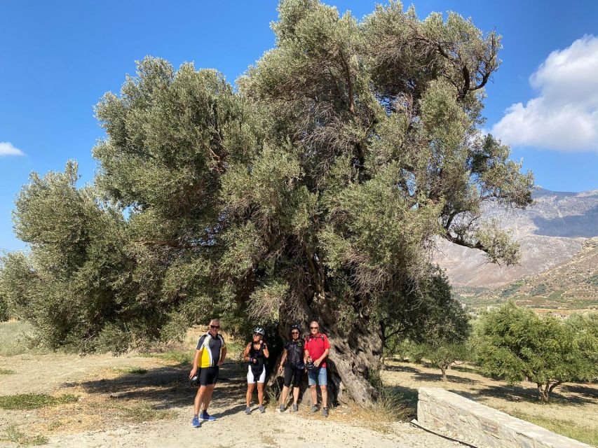 Heraklion: Wine Tasting E-Bike Tour - Weather, dirt roads, and what to wear