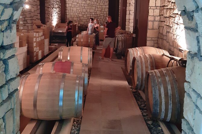 Heraklion wine tour & Cretan meze lunch - The vineyard walk adds useful context