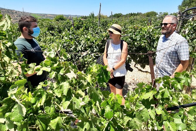 Heraklion wine tour & Cretan meze lunch - Who should book this experience