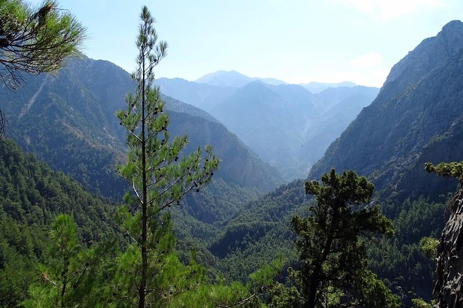 Hiking at Samaria, the longest Gorge in Europe! From Chania - What the guide adds, and where the tour may feel thin