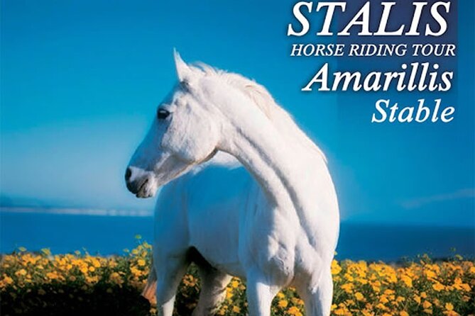 HORSE RIDING 1.5 hours mountains from area Hersonissos CRETE - Key points at a glance