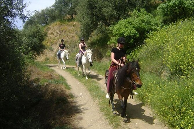 HORSE RIDING 1.5 hours mountains from area Hersonissos CRETE - Leaving the resort strip for Crete’s mountain paths