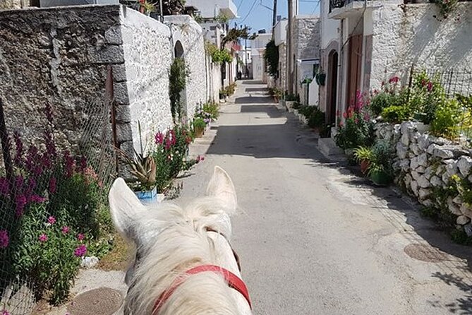 HORSE RIDING 1.5 hours mountains from area Hersonissos CRETE - Why the small group matters