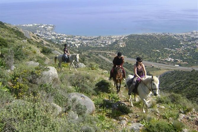 HORSE RIDING 1.5 hours mountains from area Hersonissos CRETE - What the 90-minute ride feels like