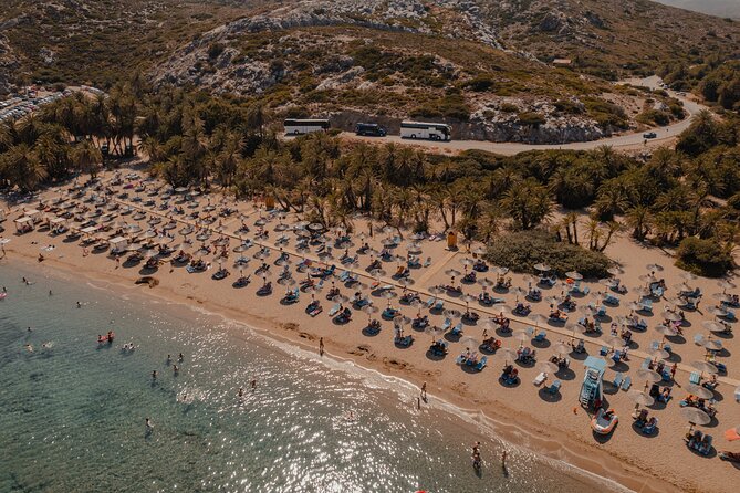Ierapetra-Makrigialos: Vai Palm Beach, Moni Toplou & Sitia Tour - Who will get the most from this tour