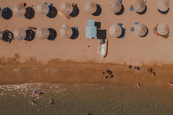 Ierapetra-Makrigialos: Vai Palm Beach, Moni Toplou & Sitia Tour - Price, timing, and cancellation details