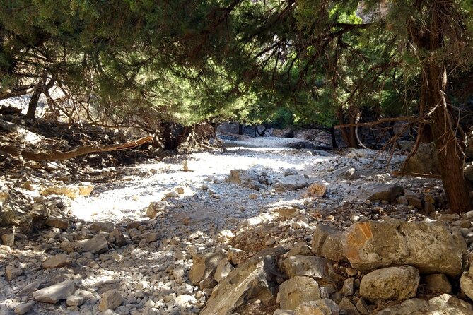 Imbros Gorge Adventure Day Trip from Chania - How difficult is the day?