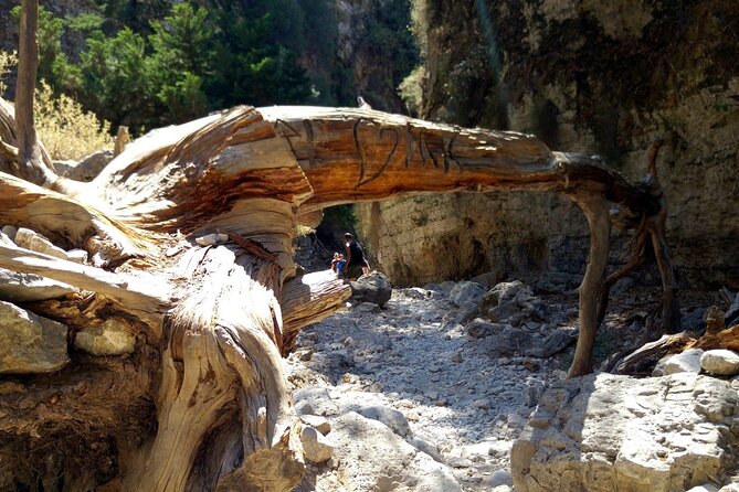 Imbros Gorge Adventure Day Trip from Chania - Who should book this excursion?