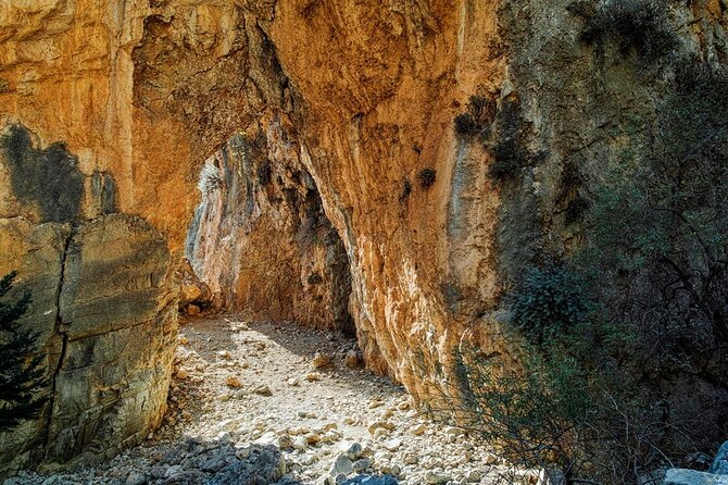 Imbros Gorge Adventure Day Trip from Chania - What the driver-guide adds