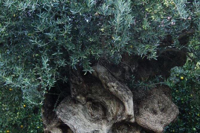 Individual travel accompaniment East Crete - The nature side: gorges, waterfalls, and open views