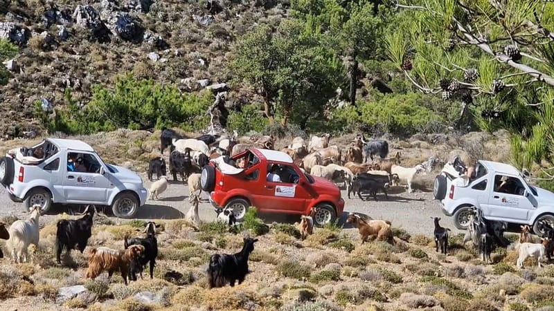 Jeep Driving Tour to Thripti Mountains and typical villages - A full day in Crete’s eastern mountains