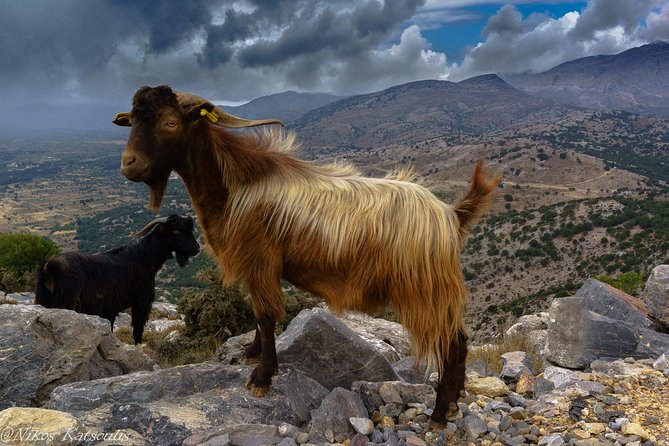 Katharo Route Tour from Agios Nikolaos - Dikteo Cave and the story of Zeus