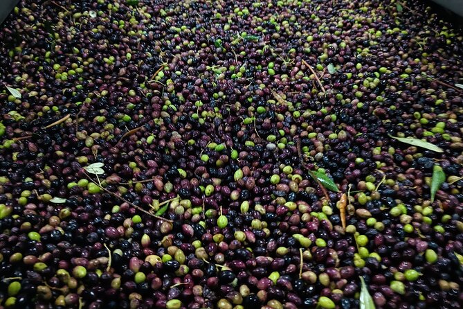 Kleanthi Olive Farm: Guided Tour with Local Delicacies Tasting - A friendly family atmosphere