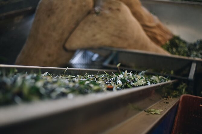 Kleanthi Olive Farm: Guided Tour with Local Delicacies Tasting - Is $25.34 good value?