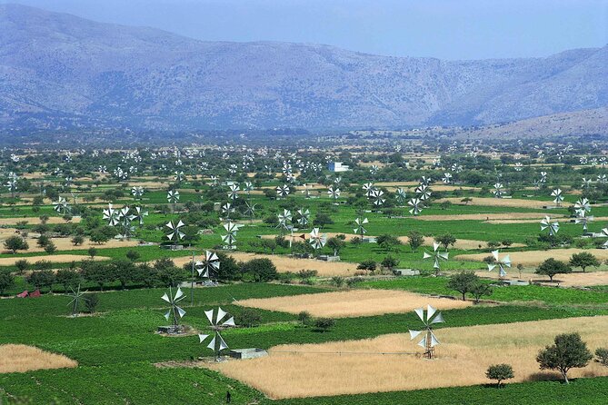 Knossos & lasithi plateau villages,Zeus's cave,&olive oil Mill - Why This Crete Tour Works as a First Look