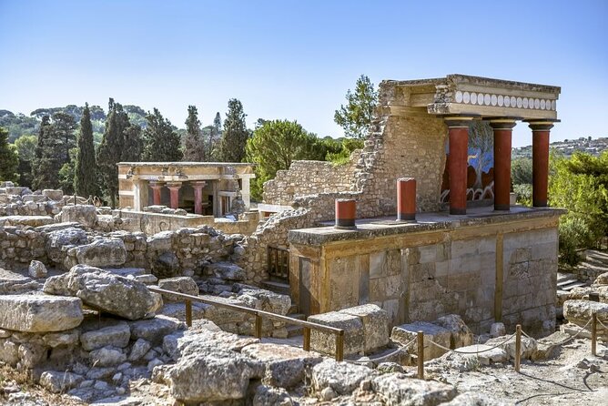 Knossos, Olive Grove, Winery - Distillery with Tastings & Lunch - Stironas: oak barrels, raki, and your own sealed bottle