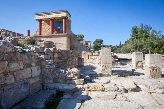 Knossos, Olive Grove, Winery - Distillery with Tastings & Lunch - Price, timing, and what you receive