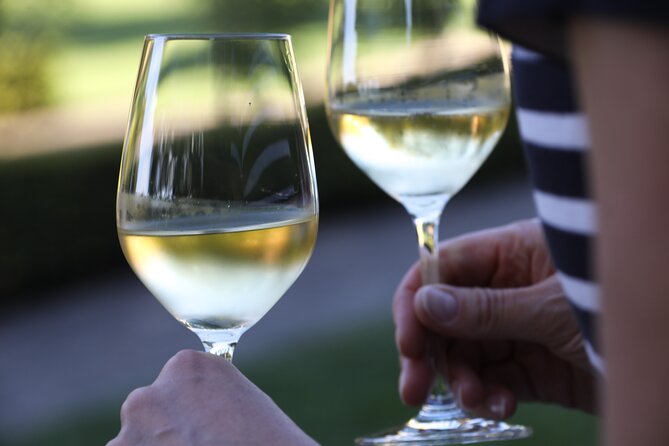 Knossos, Olive Grove, Winery - Distillery with Tastings & Lunch - Who should book this tour?