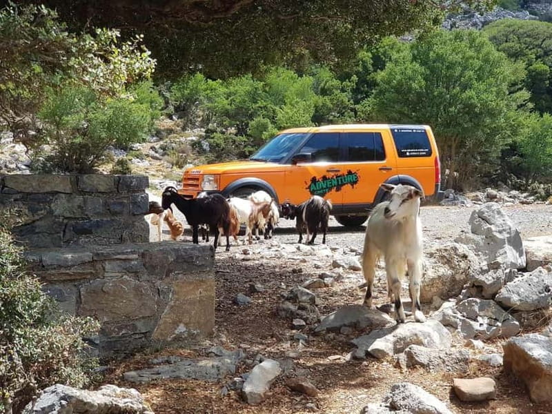 Knossos Palace and Pottery experience. Excursion Safari - Practical tips for a smoother day
