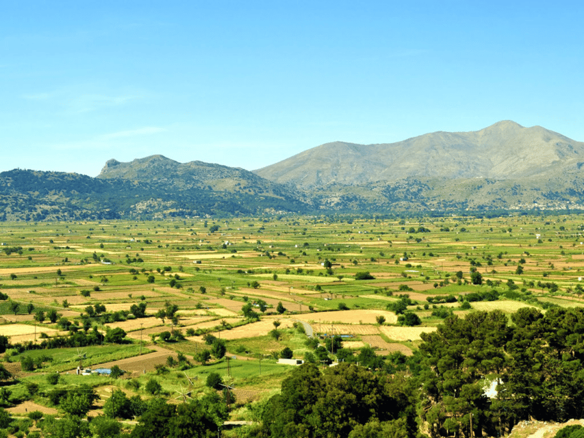 Knossos Palace &/or Zeus Cave + Olive Mill | Local & Private - Cruise passengers should plan the morning carefully