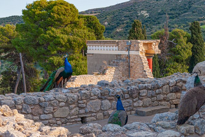 Knossos Palace Private Walking Tour - The Bull-Leaping Fresco and what a replica means