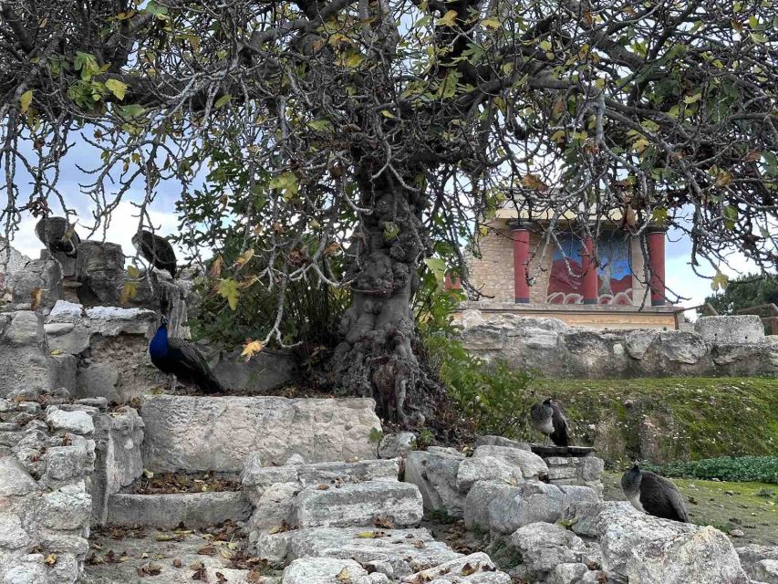 Knossos Palace Skip-the-Line Ticket & Private Guided Tour - The value of a private guide