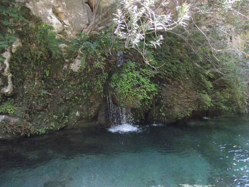 Kourtaliotiko Gorge River Trek with Lunch! Pick-up Avaliable - Lunch and the Banana Garden finish