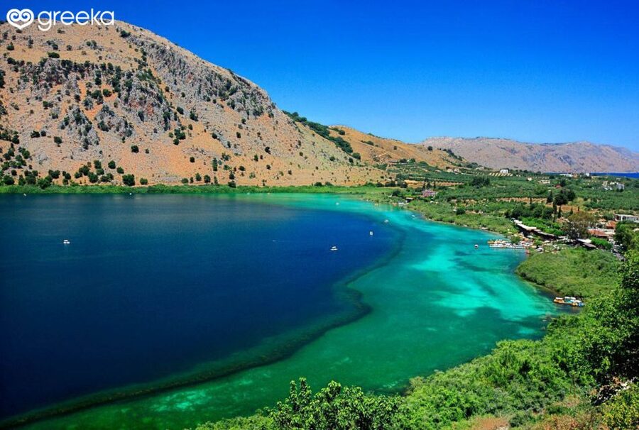 Lake Kournas: Pedal Boat Rental With Transfer - Four Hours to Walk, Swim, and Eat