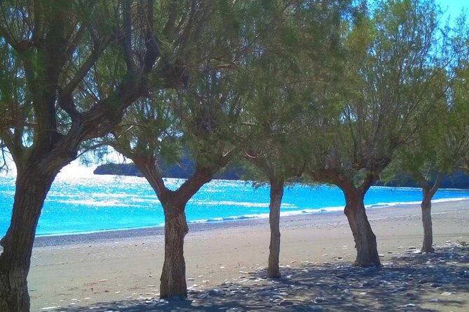 Land Rover Safari: Tripitis Gorge and Beach, South Crete - The driver-guide shapes the whole experience