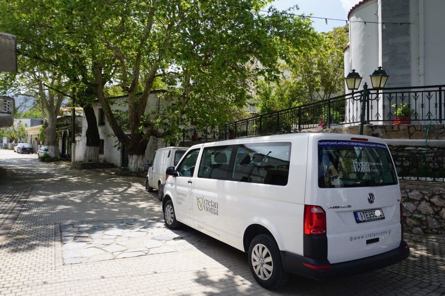 Lasithi Plateau & Zeus Cave: Myths and Villages Tour - Krasi, the old plane tree, and a proper lunch