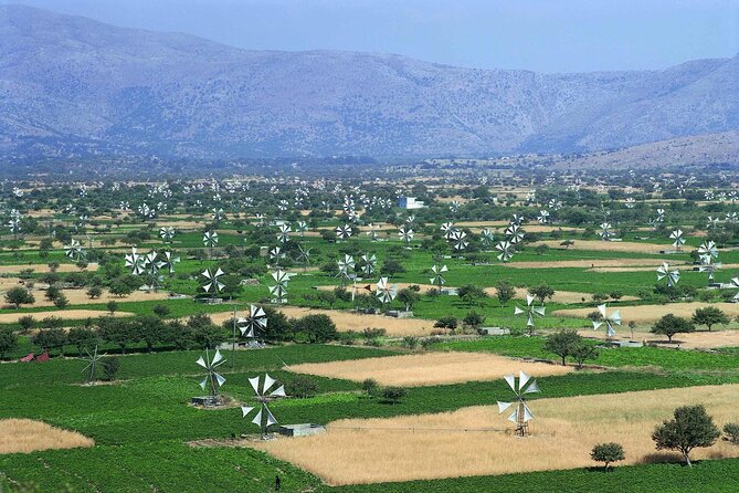 Lasithi - Zeus Cave -Olive Oil Factory - Traditional Villages - Why this Lasithi Plateau route works