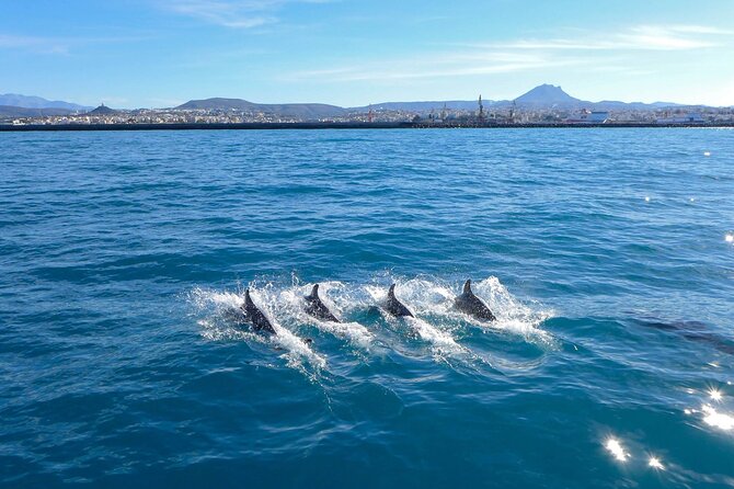 Luxury escape Sailing, shared from Hersonissos or Heraklion port - A homemade Mediterranean lunch on board