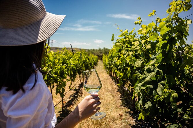 LUXURY PRIVATE Wine Tasting in CRETE (also for CRUISE SHIPS) - What the four-hour itinerary includes