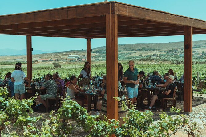 LUXURY PRIVATE Wine Tasting in CRETE (also for CRUISE SHIPS) - Who will enjoy this most?