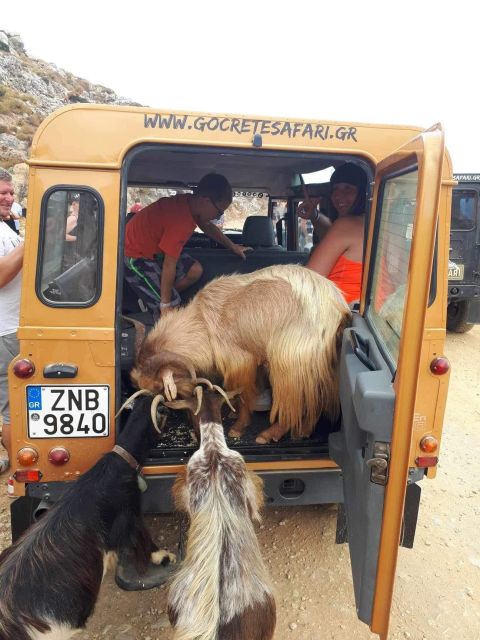 MALIA: East Crete Famous Places (Family and Child Friendly) - Agios Nikolaos ends the route with town time