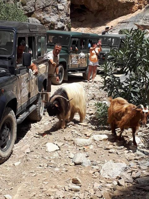 MALIA: East Crete Famous Places (Family and Child Friendly) - Milatos Cave: a short visit with a serious story