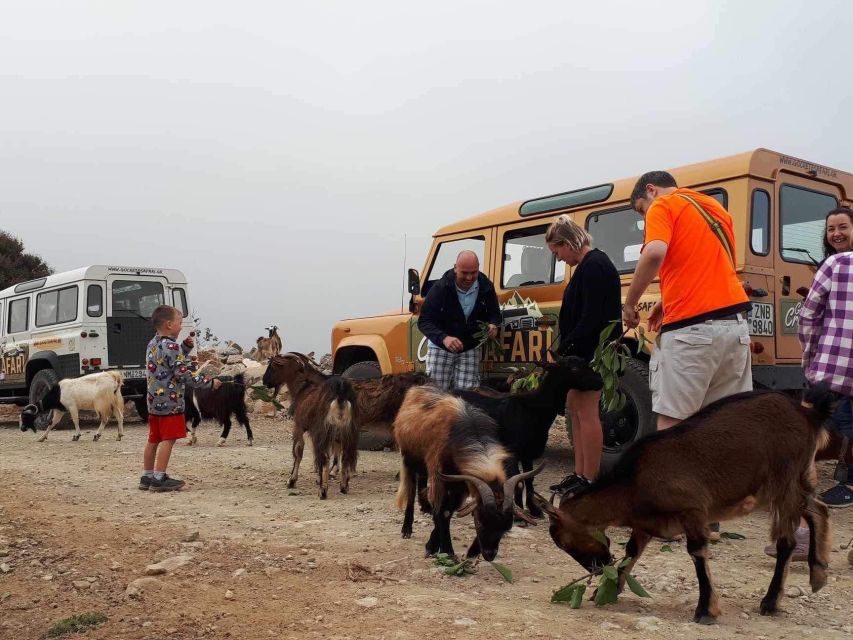 MALIA: Land rover Safari Lasithi Plateau and Zeus Cave - Is $93 good value?