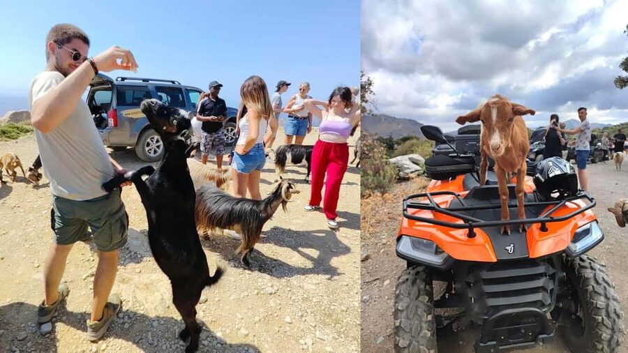 Malia: Off-Road Quad Safari Tour with Lunch and Transfers - From Malia’s resort roads to Crete’s back country