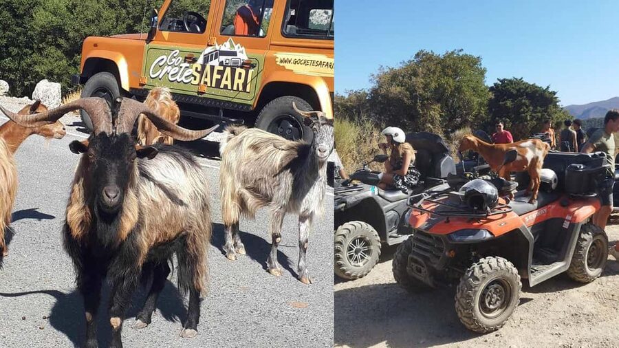 Malia: Off-Road Quad Safari Tour with Lunch and Transfers - The first tracks through olive groves and vineyards