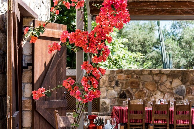 Manousakis Winery Shuttle Service Tour and Taste - Adding Cretan food to the tasting