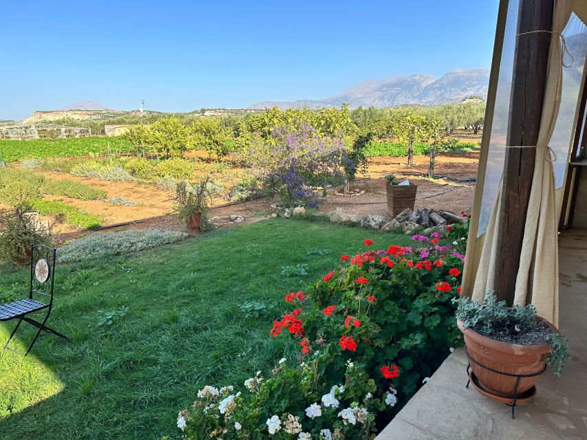 Moires: Cooking Class and Olive Oil Tasting at a Family Farm - Eating your own cooking with Cretan wine