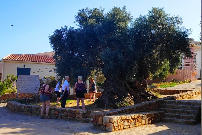 Monastery - Ancient Olive tree & Museum-Cretan Brewery Private Tour from Chania - Who should book this experience