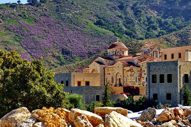 Monastery - Ancient Olive tree & Museum-Cretan Brewery Private Tour from Chania - Vouves and the ancient olive tree