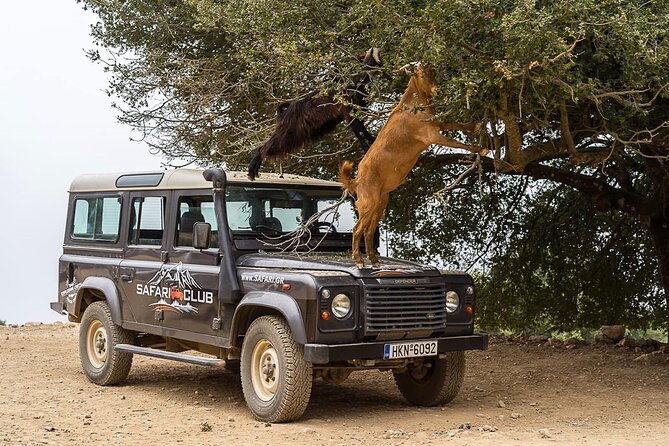 Mountains of Crete 4x4 Tour with Taverna Lunch - Practical details before you book