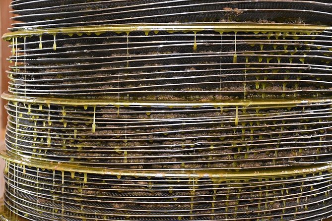 Olive Oil Tasting Tour - What happens at Koronekes Olive Mill