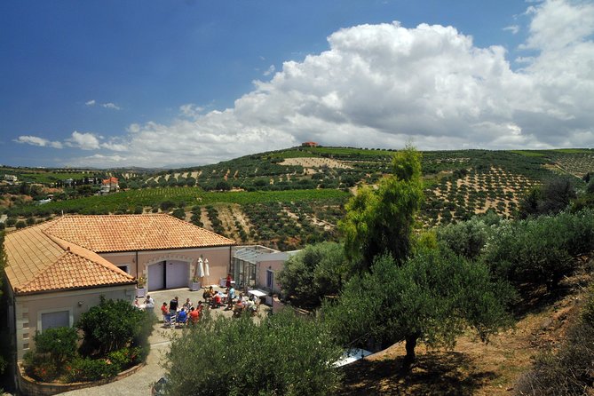 Olive Oil Tasting Tour - How the price compares with the experience