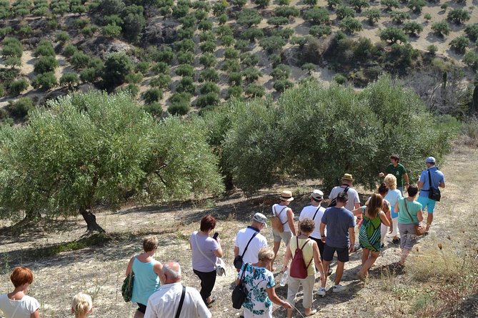 Olive Oil Tasting Tour - Practical details for planning your visit