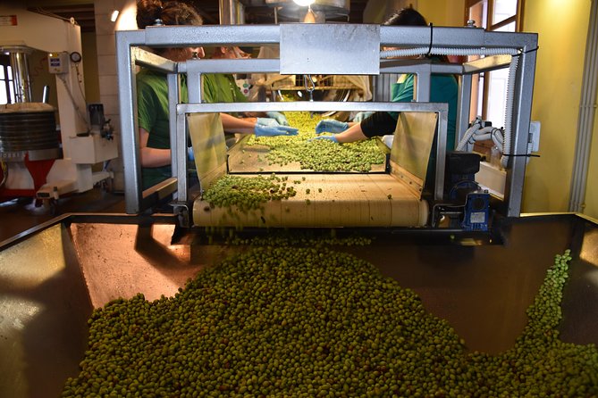 Olive Oil Tasting Tour - Why the production explanation is worth your time