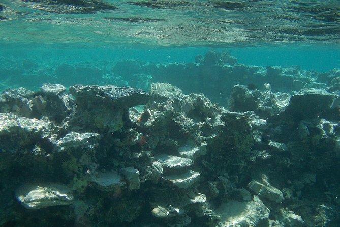 Olous – Guided Snorkelling Excursion to Discover Olous Sunken Ancient City - Why the guide matters so much